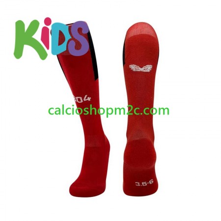 Bayer 04 Leverkusen Bambino Prima Calzettoni 2024/2025